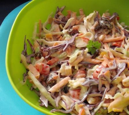 mollie katzen's regenboog-raisin cole slaw