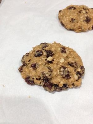 neiman marcus 'havermout raisin cookies