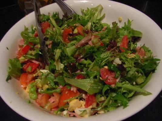 de lichte en magere salade van nif