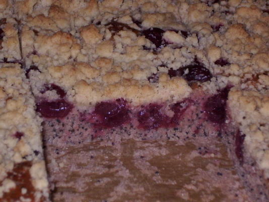 poppy-seed-cherry-cake met crumble topping