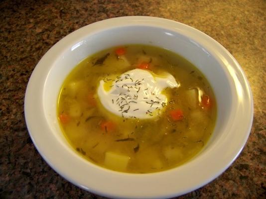 cynthia's augurk soep