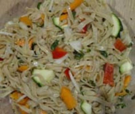 Aziatische garnalen noodle salade