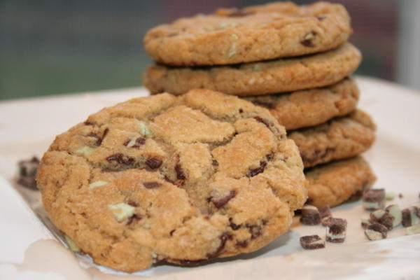 chewy mint chocolate chip cookies