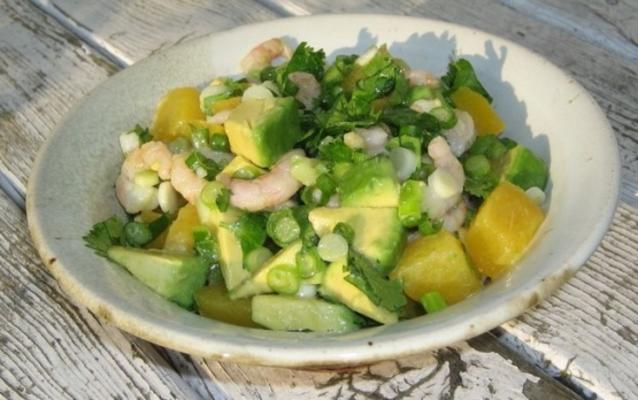 mango avocado garnalen salade