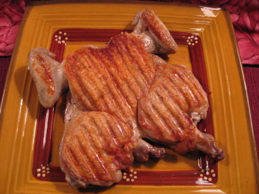 alton brown's spatchcocked game hen
