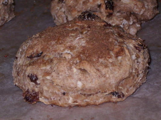 volkoren appel en kaneel scones