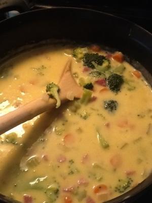 kaas / broccoli / ham chowder