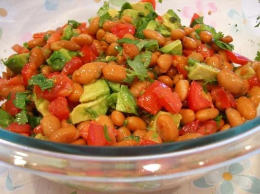 avocado en pinto bonensalade