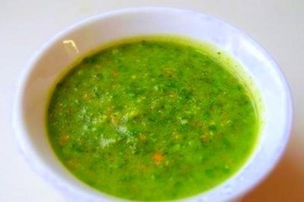 elektrische chimichurri saus