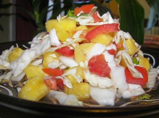 de koolsalade van paul rodriguez