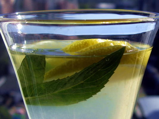 limonade met bacardi limon voor volwassenen