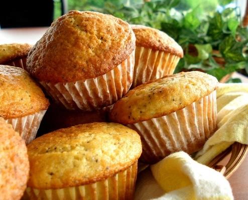 magere maanzaad muffins (ww)