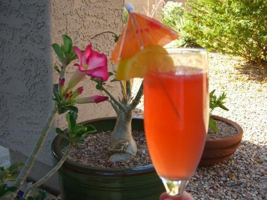 gepaste Campari-cocktail