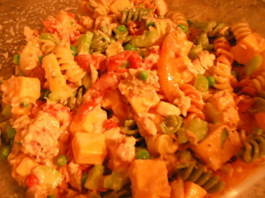 tonijn, kaas en pastasalade