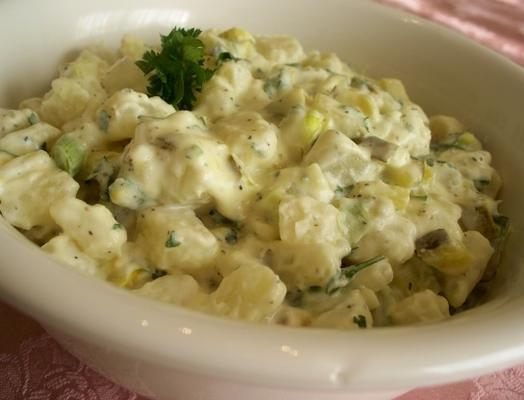 heerlijke aardappelsalade met dillegroenten augurk