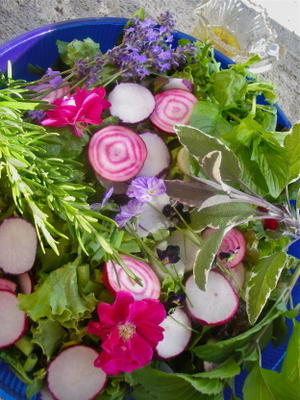 elizabethan Engelse kruid- en bloemsalade met honingdressing