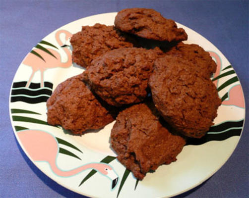 gezonde volkoren melasse cookies