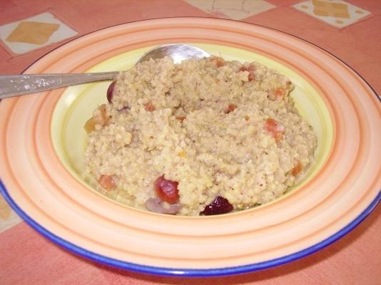 jhangora ki kheer (jhangora pudding)