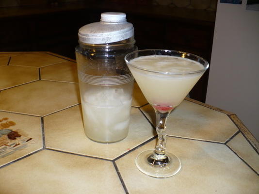 de meest verfrissende vers geperste grapefruit martini