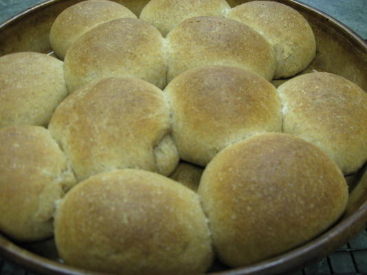 volkoren parker house rolls