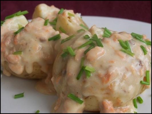 jas aardappelen met cheesy zalm saus aust ww 2.5 pts