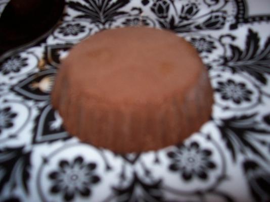 bevroren chocolademousse