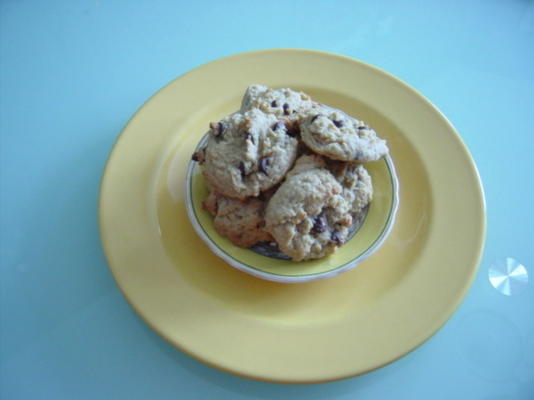 judy's chocolade-haver-kokos koekjes