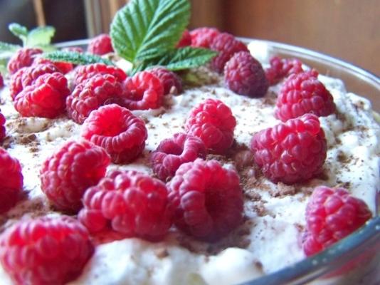 ouderwetse pond cake en raspberry trifle