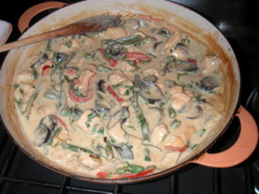 Thaise groene curry