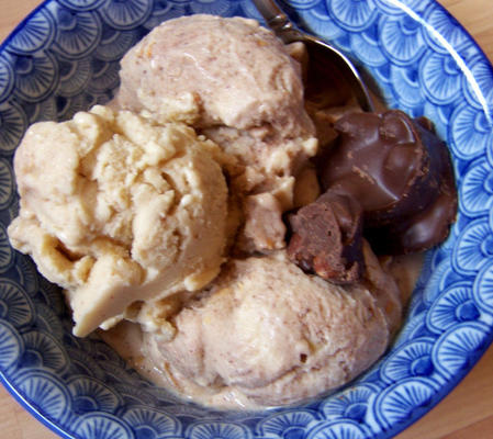 ann 's amandel chocolade-ijs zuivelvrij