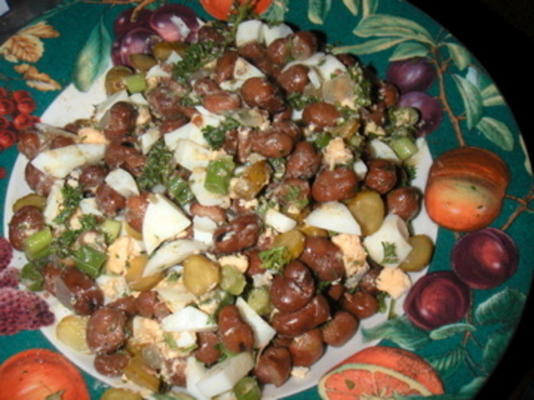 Egyptische bruine bonensalade