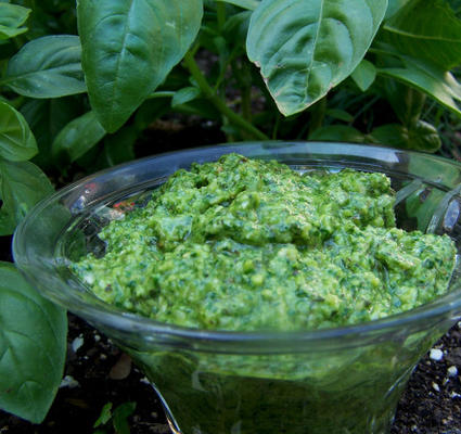 rucola basilicumpesto