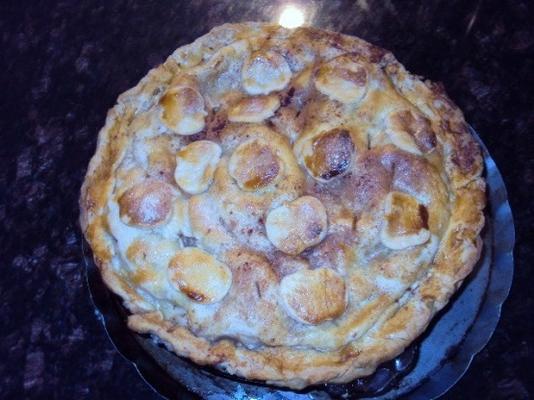 de pastei van martha stewart's brisee - basispasteikorst