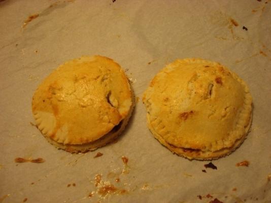 varkensvlees picadillo empanadas met chipotle salsa