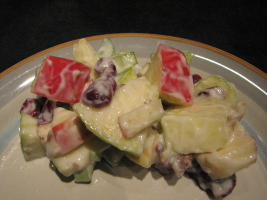 vetarme, heerlijke waldorf-salade