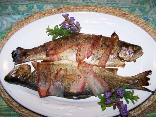 spek-verpakte forel