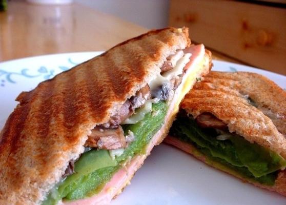 turkije 2-kaas panini met gebakken groenten