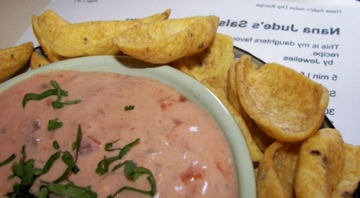 nana jude's salsa dip