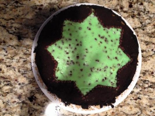 mint chocolate chip cheesecake