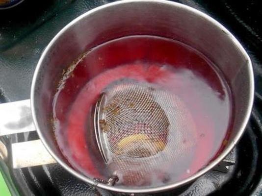 diabetische cranberry zielverwarmende thee