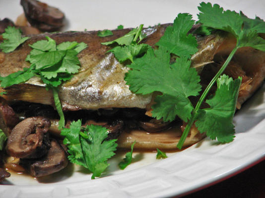 met oven gestoomde forel met gember