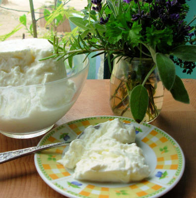 yoghurt kaas (labna)