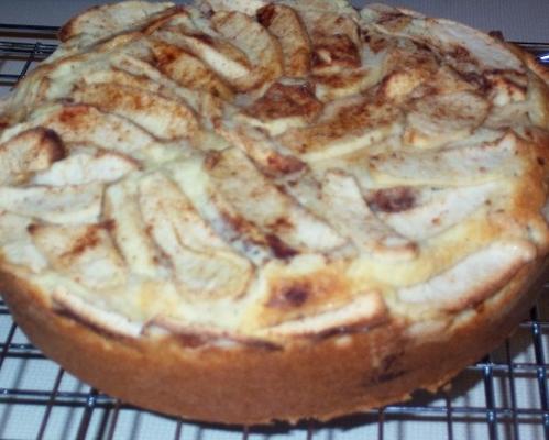 warme zure appel en karnemelk torte