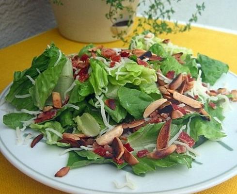 spek zwitserse gooide salade