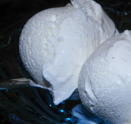 schuldvrij bevroren limoenendessert