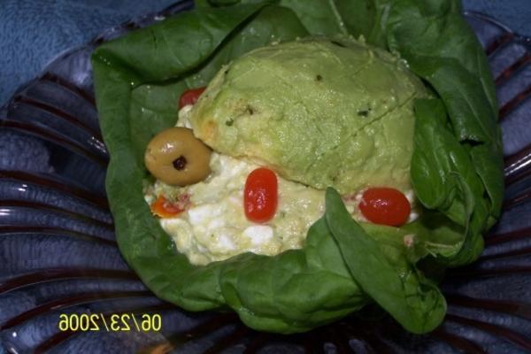 schildpad shell salade