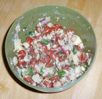 salade van twee bonen en artisjok