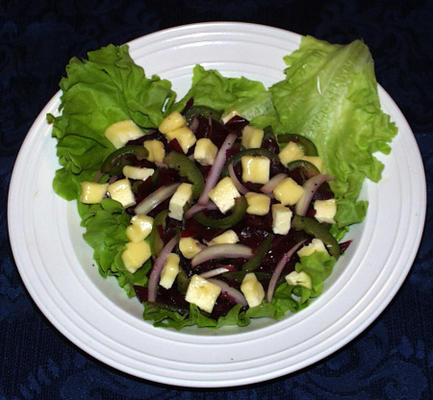 rode kool salade met gerookte kaas