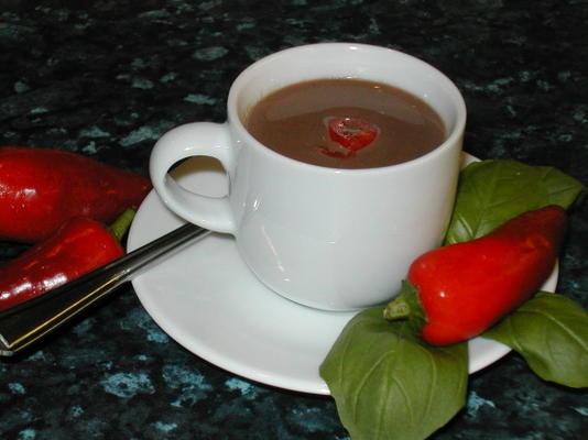 Zuid-Amerikaanse warme chocolademelk (met pepers)