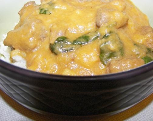 makkelijk mild thai rundvlees curry